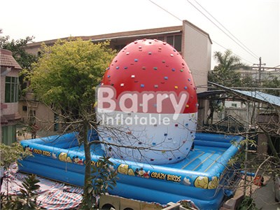 Commercial PVC Rock Inflatable Climbing Wall,Angry Bird Inflatable Rock Climbing Wall Price  BY-IG-056